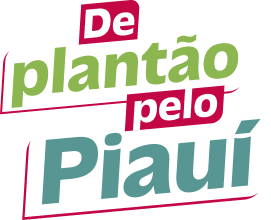 De plantão pelo Piauí